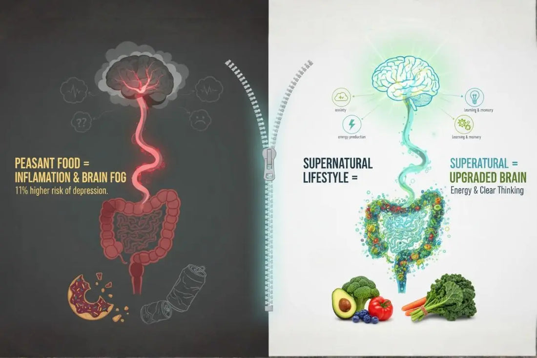 Side-by-side graphic comparing a processed diet and a whole-food lifestyle, showing differences in gut health and brain function