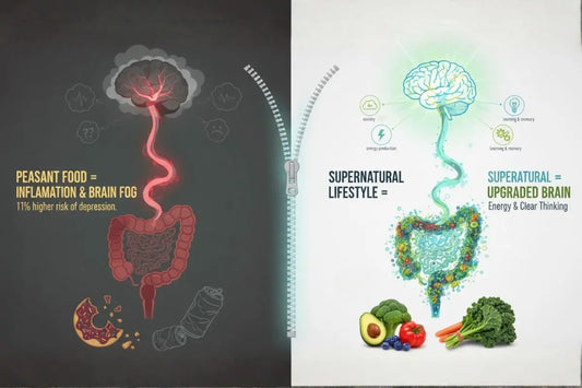 Side-by-side graphic comparing a processed diet and a whole-food lifestyle, showing differences in gut health and brain function